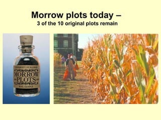 Morrow plots today –
 3 of the 10 original plots remain
 
