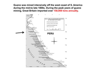 Guano was mined intensively off the west coast of S. America
during the mid-to late 1800s. During the peak years of guano
mining, Great Britain imported over 150,000 tons annually.




                             PERU
 