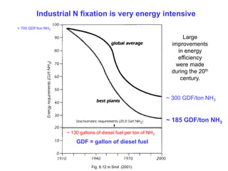 Industrial N fixation is very energy intensive
> 700 GDF/ton NH3

                                                                        Large
                                                                   improvements
                                                                      in energy
                                                                      efficiency
                                                                     were made
                                                                   during the 20th
                                                                       century.


                                                                  ~ 300 GDF/ton NH3


                                                                  ~ 185 GDF/ton NH3
                    ~ 130 gallons of diesel fuel per ton of NH3
                        GDF = gallon of diesel fuel



                                Fig. 6.12 in Smil (2001)
 