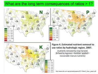 What are the long term consequences of ratios > 1?




                            http://www.afa.com.eg/uploads/papers/2011/files/3_fixen_paper.pdf
 
