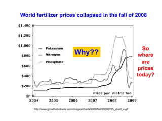 World fertilizer prices collapsed in the fall of 2008




                                                                                    So
                                    Why??                                          where
                                                                                    are
                                                                                  prices
                                                                                  today?




     http://www.growthstockwire.com/images/charts/2009/feb/20090225_chart_a.gif
 