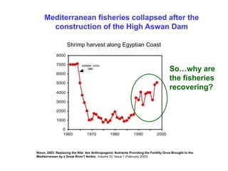 Mediterranean fisheries collapsed after the
       construction of the High Aswan Dam

                    Shrimp harvest along Egyptian Coast



                                                                                        So…why are
                                                                                        the fisheries
                                                                                        recovering?




Nixon, 2003. Replacing the Nile: Are Anthropogenic Nutrients Providing the Fertility Once Brought to the
Mediterranean by a Great River? Ambio. Volume 32, Issue 1 (February 2003)
 