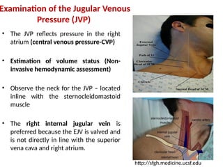 History_Taking_and_Physical_Examination_of_Cardiovascular_System.pptx