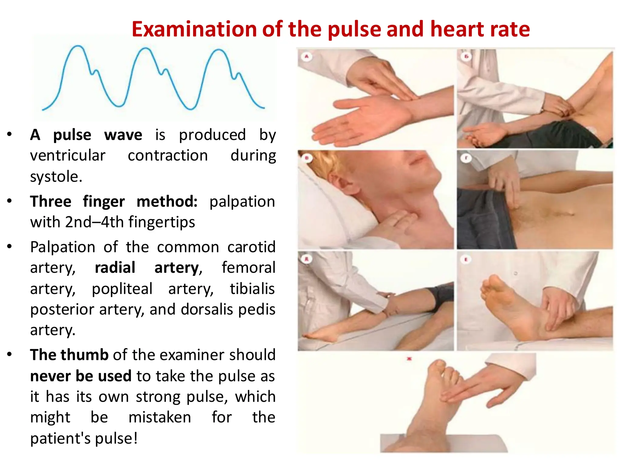 History Taking and Physical Examination of Cardiovascular System-The ...