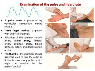 • A pulse wave is produced by
ventricular contraction during
systole.
• Three finger method: palpation
with 2nd–4th fingertips
• Palpation of the common carotid
artery, radial artery, femoral
artery, popliteal artery, tibialis
posterior artery, and dorsalis pedis
artery.
• The thumb of the examiner should
never be used to take the pulse as
it has its own strong pulse, which
might be mistaken for the
patient's pulse!
Examination of the pulse and heart rate
 