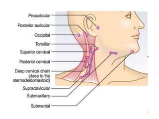 HISTORY TAKING & PHYSICAL EXAMINATION.pptx