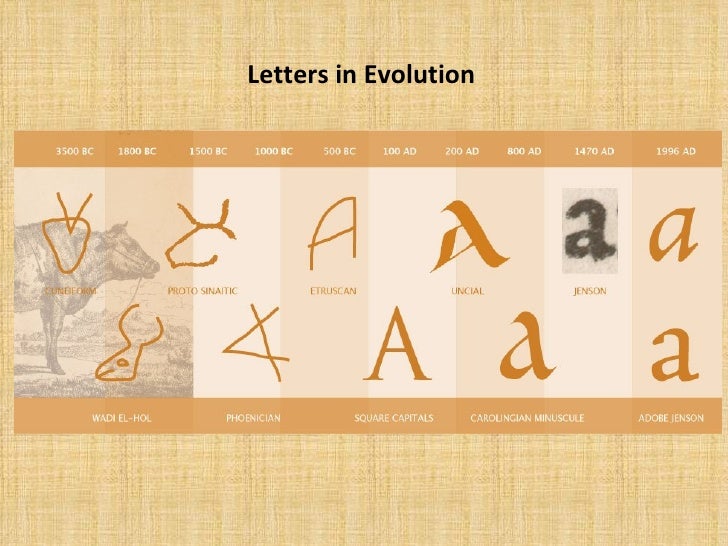 History of essay