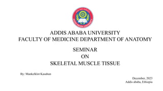SEMINAR
ON
SKELETAL MUSCLE TISSUE
ADDIS ABABA UNIVERSITY
FACULTY OF MEDICINE DEPARTMENT OF ANATOMY
December, 2023
Addis ababa, Ethiopia
By: Mankelklot Kasahun
 
