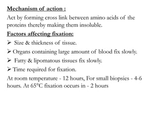 Mechanism of action :
Act by forming cross link between amino acids of the
proteins thereby making them insoluble.
Factors affecting fixation:
 Size & thickness of tissue.
 Organs containing large amount of blood fix slowly.
 Fatty & lipomatous tissues fix slowly.
 Time required for fixation.
At room temperature - 12 hours, For small biopsies - 4-6
hours. At 65°C fixation occurs in - 2 hours
 