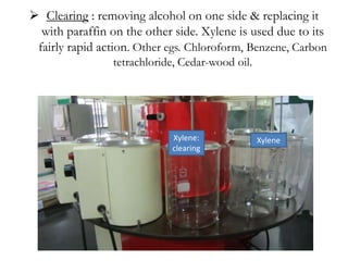  Clearing : removing alcohol on one side & replacing it
with paraffin on the other side. Xylene is used due to its
fairly rapid action. Other egs. Chloroform, Benzene, Carbon
tetrachloride, Cedar-wood oil.
Xylene:
clearing
Xylene
 