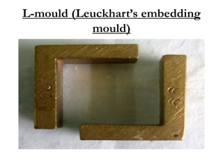 L-mould (Leuckhart’s embedding
mould)
 