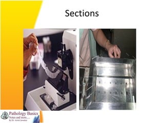 Histotechniques | PPT