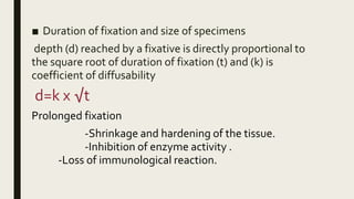 ■ Duration of fixation and size of specimens
depth (d) reached by a fixative is directly proportional to
the square root of duration of fixation (t) and (k) is
coefficient of diffusability
d=k x √t
Prolonged fixation
-Shrinkage and hardening of the tissue.
-Inhibition of enzyme activity .
-Loss of immunological reaction.
 