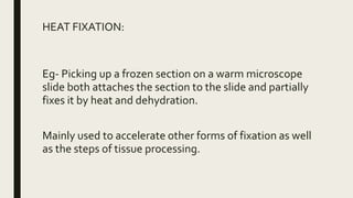 HEAT FIXATION:
Eg- Picking up a frozen section on a warm microscope
slide both attaches the section to the slide and partially
fixes it by heat and dehydration.
Mainly used to accelerate other forms of fixation as well
as the steps of tissue processing.
 