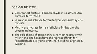 FORMALDEHYDE:
■ Commonest fixative - Formaldehyde in its 10% neutral
buffered form (NBF)
■ In an aqueous solution formaldehyde forms methylene
hydrate
■ Methylene hydrate forms methylene bridge b/w the
protein molecules.
■ The side chains of proteins that are most reactive with
methylene and hence have the highest affinity for
formaldehyde are lysine, cysteine, histidine, arginine &
tyrosine.
 