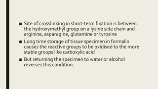 ■ Site of crosslinking in short-term fixation is between
the hydroxymethyl group on a lysine side chain and
arginine, asparagine, glutamine or tyrosine
■ Long time storage of tissue specimen in formalin
causes the reactive groups to be oxidised to the more
stable groups like carboxylic acid
■ But returning the specimen to water or alcohol
reverses this condition.
 