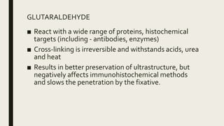 GLUTARALDEHYDE
■ React with a wide range of proteins, histochemical
targets (including - antibodies, enzymes)
■ Cross-linking is irreversible and withstands acids, urea
and heat
■ Results in better preservation of ultrastructure, but
negatively affects immunohistochemical methods
and slows the penetration by the fixative.
 