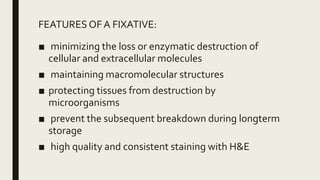 FEATURES OF A FIXATIVE:
■ minimizing the loss or enzymatic destruction of
cellular and extracellular molecules
■ maintaining macromolecular structures
■ protecting tissues from destruction by
microorganisms
■ prevent the subsequent breakdown during longterm
storage
■ high quality and consistent staining with H&E
 