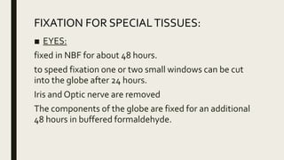 FIXATION FOR SPECIALTISSUES:
■ EYES:
fixed in NBF for about 48 hours.
to speed fixation one or two small windows can be cut
into the globe after 24 hours.
Iris and Optic nerve are removed
The components of the globe are fixed for an additional
48 hours in buffered formaldehyde.
 