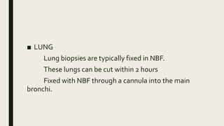 ■ LUNG
Lung biopsies are typically fixed in NBF.
These lungs can be cut within 2 hours
Fixed with NBF through a cannula into the main
bronchi.
 