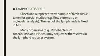 ■ LYMPHOIDTISSUE:
Sliced and a representative sample of fresh tissue
taken for special studies (e.g. flow cytometry or
molecular analysis).The rest of the lymph node is fixed
in NBF.
Many organisms (e.g. Mycobacterium
tuberculosis and viruses) may sequester themselves in
the lymphoid reticular system.
 