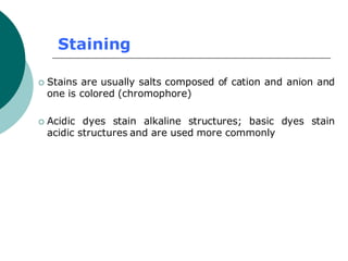 Staining
 Stains are usually salts composed of cation and anion and
one is colored (chromophore)
 Acidic dyes stain alkaline structures; basic dyes stain
acidic structures and are used more commonly
 