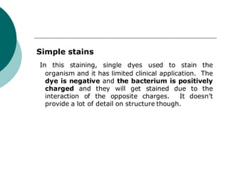 Simple stains
In this staining, single dyes used to stain the
organism and it has limited clinical application. The
dye is negative and the bacterium is positively
charged and they will get stained due to the
interaction of the opposite charges. It doesn’t
provide a lot of detail on structure though.
 