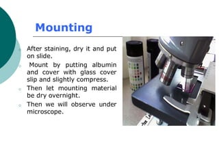 Mounting
o After staining, dry it and put
on slide.
o Mount by putting albumin
and cover with glass cover
slip and slightly compress.
o Then let mounting material
be dry overnight.
o Then we will observe under
microscope.
 