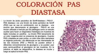 histotecnología - Nolasco P..pptx