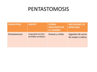 Histo y hemo (1) | PPTX