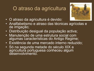 O atraso da agricultura O atraso da agricultura é devido: Analfabetismo e atraso das técnicas agrícolas e de irrigação; Distribuição desigual da população activa; Manutenção de uma estrutura social com algumas características do Antigo Regime; Existência de uma mercado interno reduzido; Só na segunda metade do século XIX a agricultura portuguesa conheceu algum desenvolvimento. 