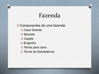 Fazenda
O Componentes de uma fazenda:
O Casa Grande
O Senzala
O Capela
O Engenho
O Terras para cana
O Terras de Subsistência
 