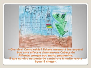 - Ora viva! Como estás? Estava mesmo à tua espera! Sou uma alface e chamam-me Cabeça de Alfinete, porque sou muito pequenina. É que eu vivo na ponta do canteiro e é muito raro a água lá chegar.