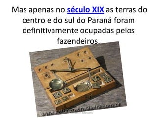 Mas apenas no século XIX as terras do
  centro e do sul do Paraná foram
  definitivamente ocupadas pelos
            fazendeiros.




              Profª. Simone P. Baldissera
 