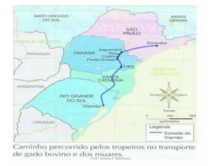 Profª. Simone P. Baldissera
 