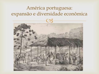 
América portuguesa:
expansão e diversidade econômica
 