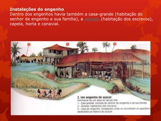 Instalações do engenho
Dentro dos engenhos havia também a casa-grande (habitação do
senhor de engenho e sua família), a senzala (habitação dos escravos),
capela, horta e canavial.
 