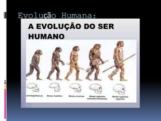 Evolução Humana: 
 