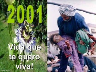 Vida que te quero viva! 2001 