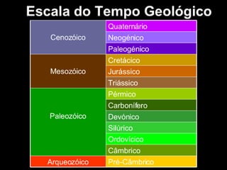 História da Terra e da Vida