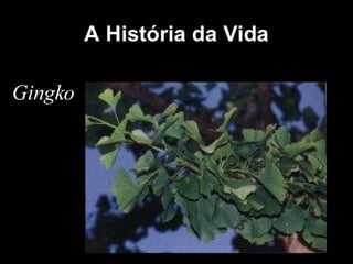 História da Terra e da Vida