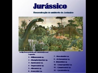 História da Terra e da Vida