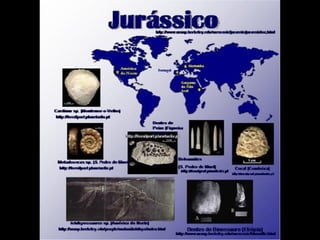 História da Terra e da Vida