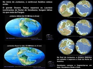 História da Terra e da Vida