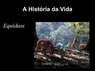 História da Terra e da Vida