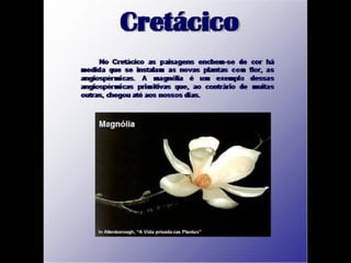 História da Terra e da Vida