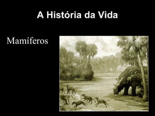 História da Terra e da Vida