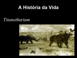 História da Terra e da Vida