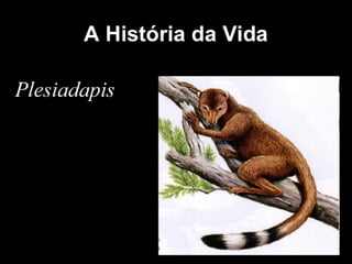 História da Terra e da Vida