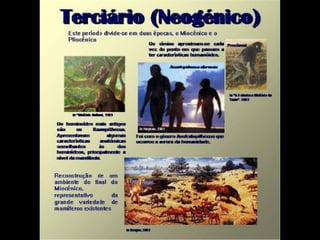 História da Terra e da Vida